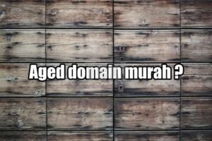 aged domain murah